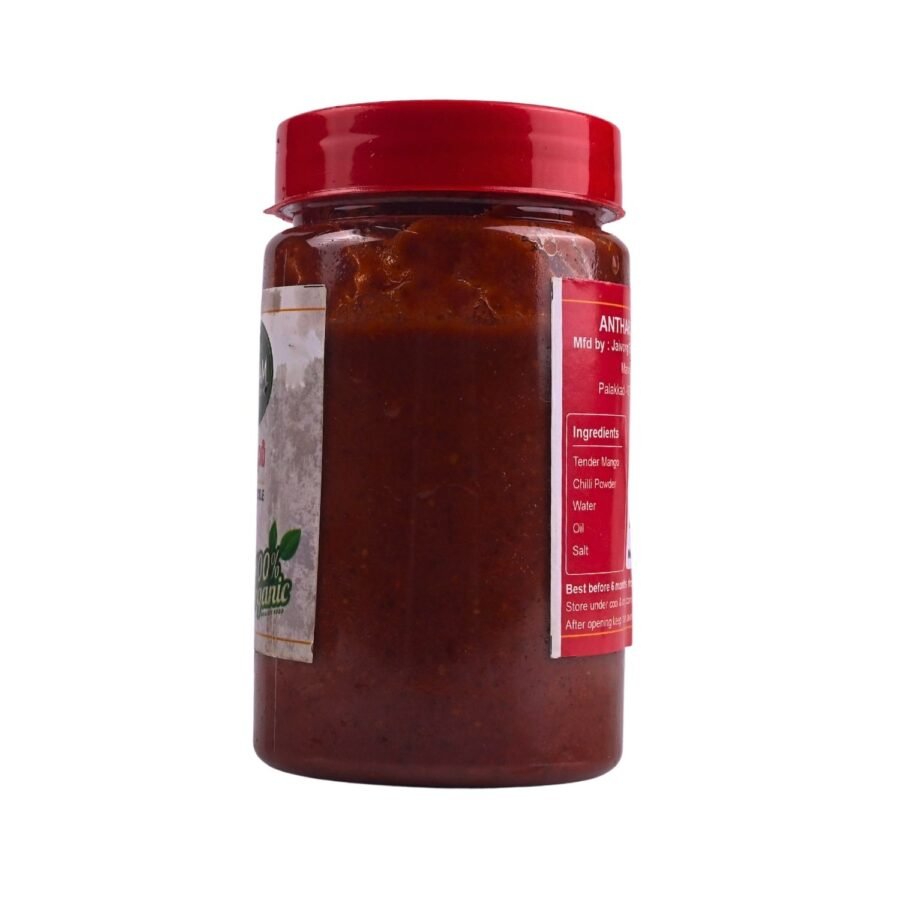 Mango Pickle - Image 3